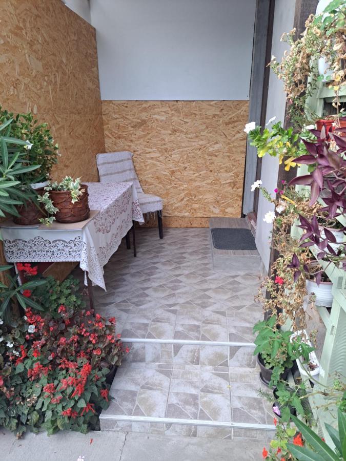 Apartment Capital Town Vk 14 Novi Sad Eksteriør billede